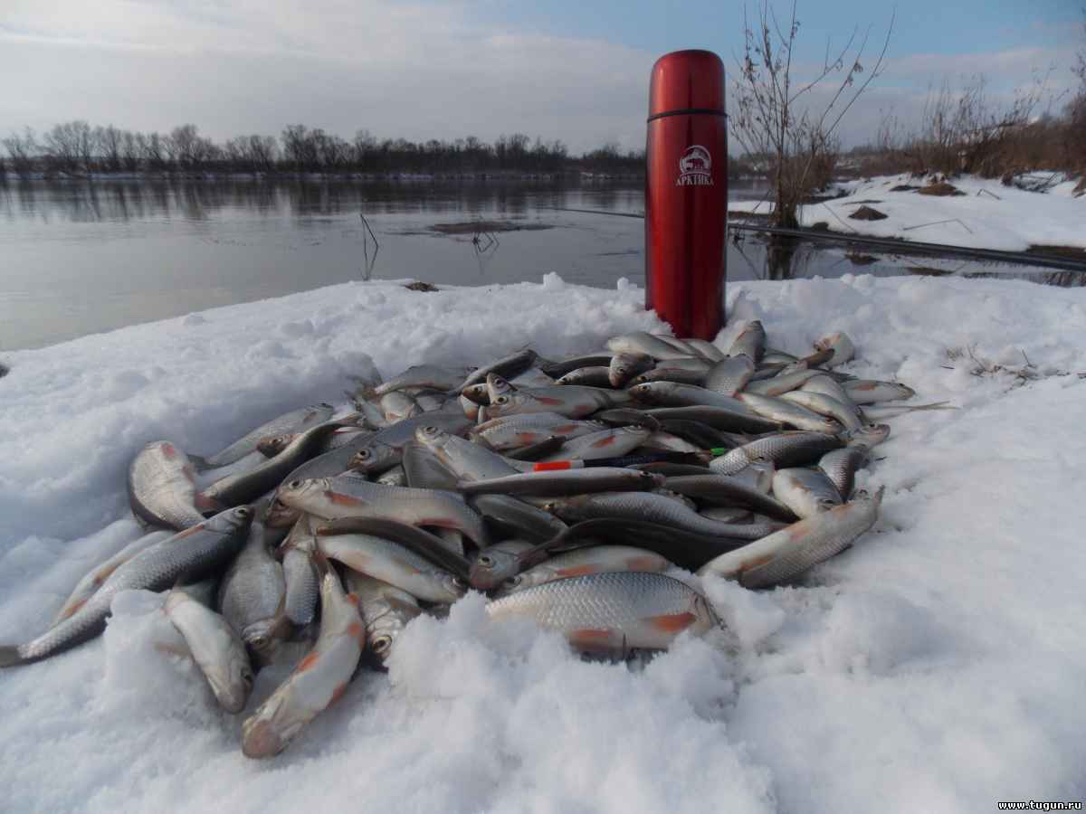 Красноярский форум рыбака