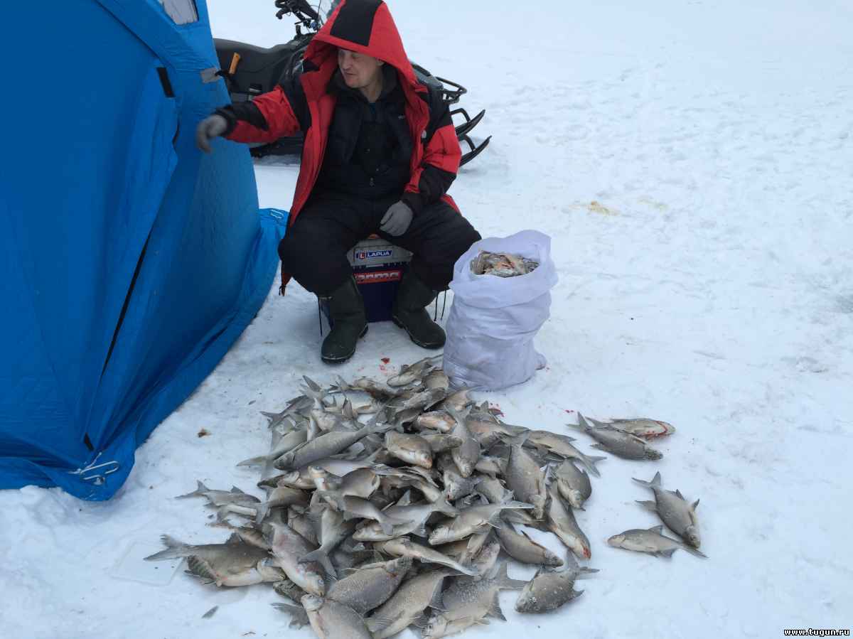 Красноярский форум рыбака. Красноярское водохранилище Бирюсинский залив рыбалка. Рыбалка КВХ 2022 зимняя. Зимняя рыбалка на КВХ. Зимняя рыбалка на Красноярском водохранилище.