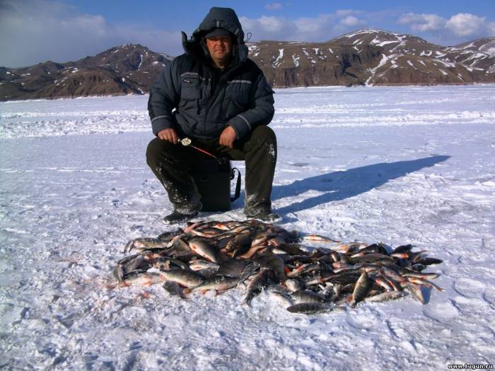 Рыбалка на енисее в красноярске. Зимняя рыбалка на Енисее. Подледная рыбалка. Рыбы зимой. Рыбалка на Байкале зимой.